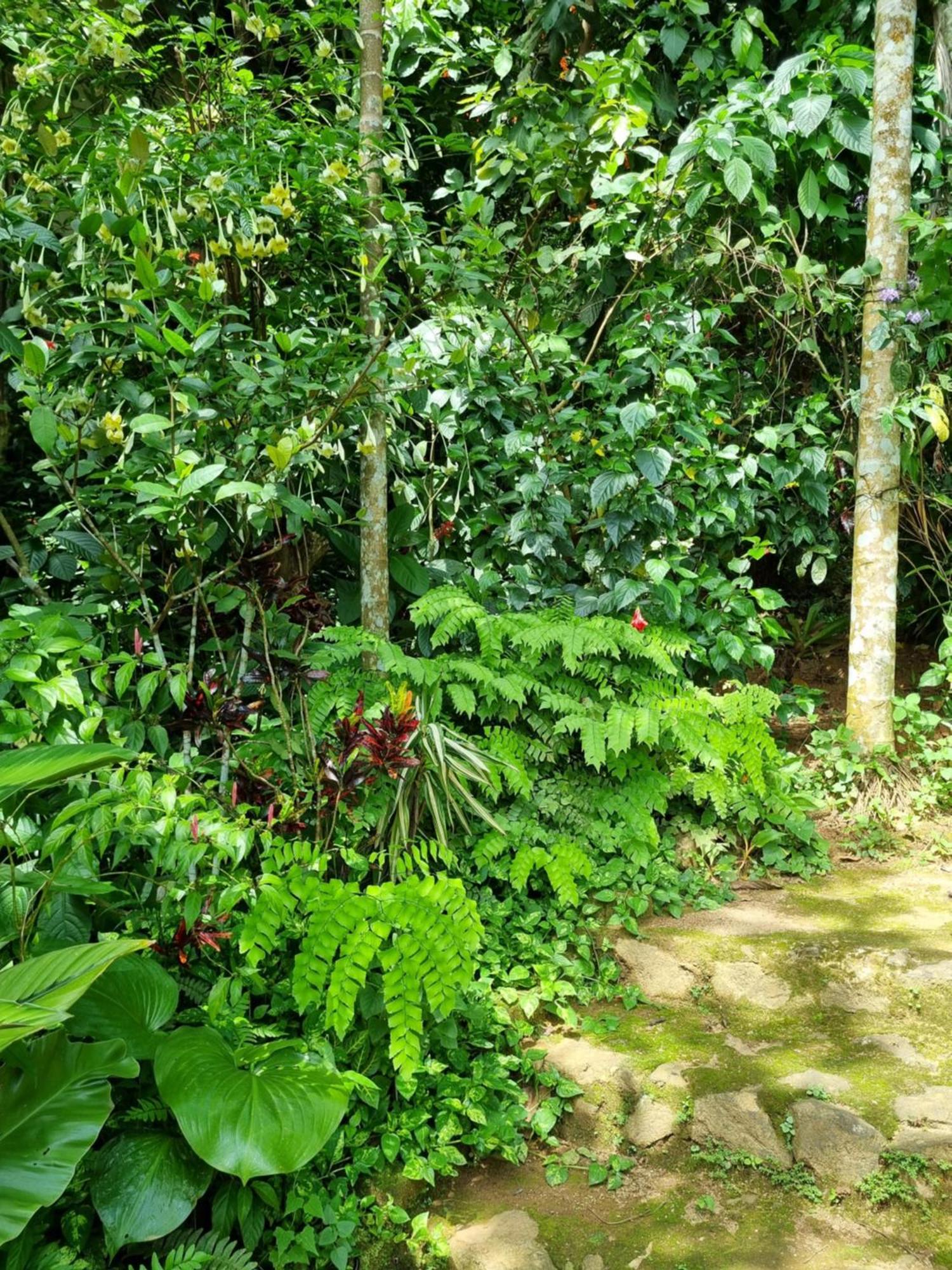 Squirrel'S Nest Hotel Kandy Exterior foto