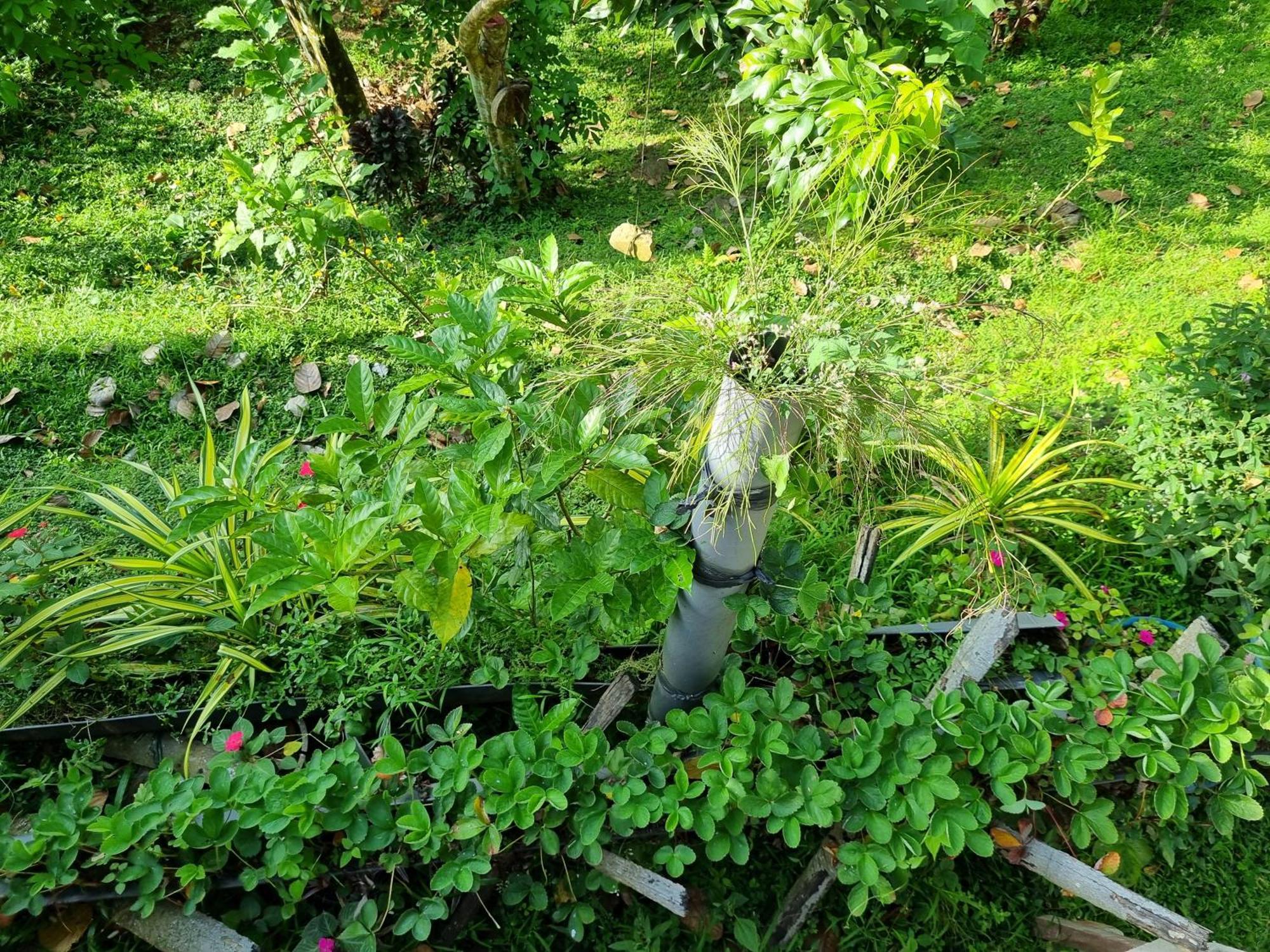 Squirrel'S Nest Hotel Kandy Exterior foto