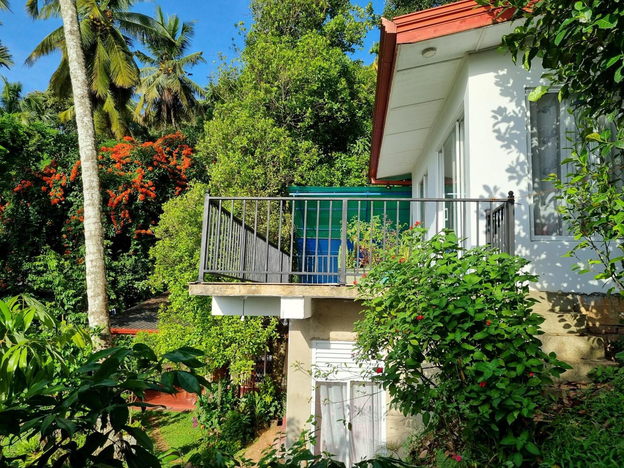 Squirrel'S Nest Hotel Kandy Exterior foto